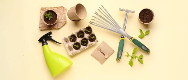 Συσκευασία Σπόρους Πράσινα Σπορόφυτα Και Εργαλεία Κηπουρικής Ελαφρύ Φόντο — Φωτογραφία Αρχείου