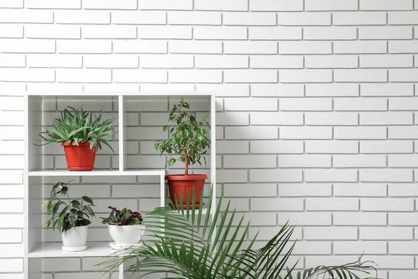 Shelving Unit Potted Houseplants White Brick Wall — Stock Photo, Image