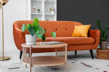 Oturma odasındaki kahverengi kanepenin yanında ev bitkisi ve modern laptop olan kahve masası.