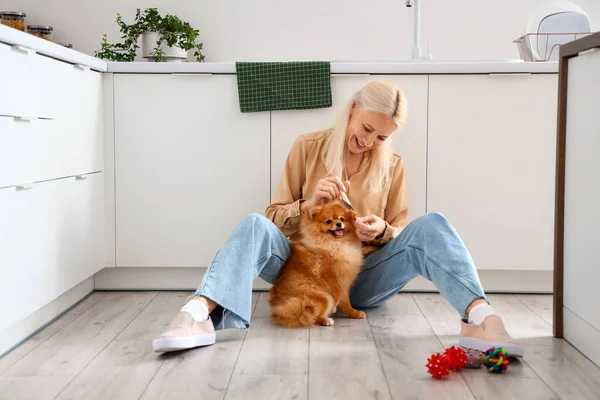 Mature Woman Brushing Pomeranian Dog Kitchen — Stock Photo, Image