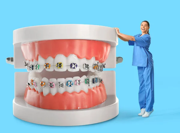 Glückliche Zahnärztin Und Große Plastikkiefer Mit Zahnspangen Auf Hellblauem Hintergrund — Stockfoto