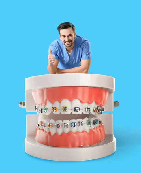 Mężczyzna Dentysta Duże Plastikowe Szczęki Aparatem Jasnoniebieskim Tle — Zdjęcie stockowe