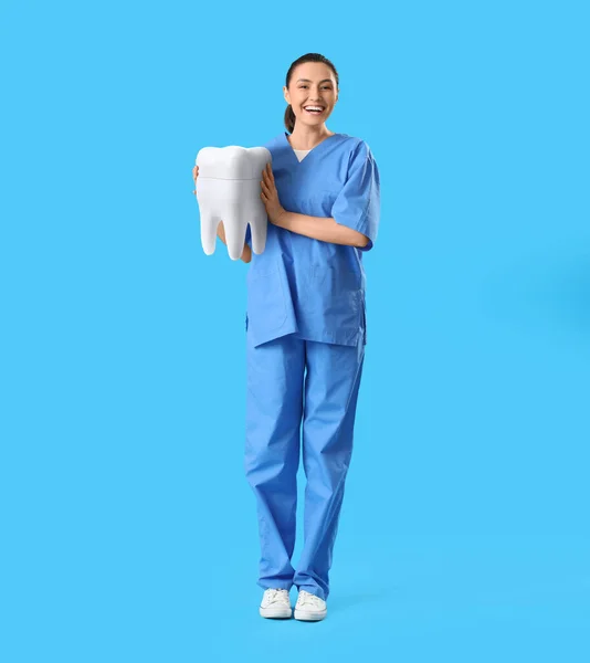 Счастливая Женщина Стоматолог Большим Зубом Светло Голубом Фоне — стоковое фото