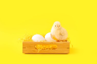 Sarı arka planda küçük bir piliç ve yumurta olan ahşap kutu.