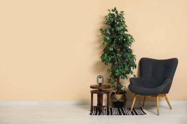 Koyu gri koltuk, küçük kahve masası, ev bitkisi ve halı, bej duvarın yanında.