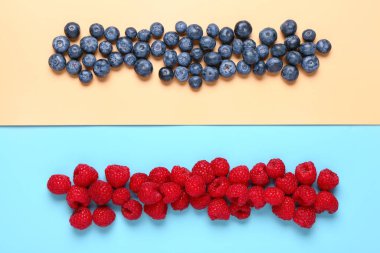 Renkli arka planda taze yaban mersini ve ahududu.