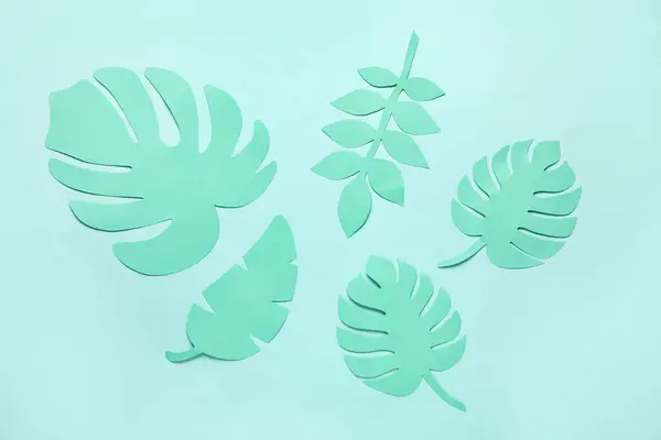 Different Tropical Leaves Pale Turquoise Background — Stock Photo, Image