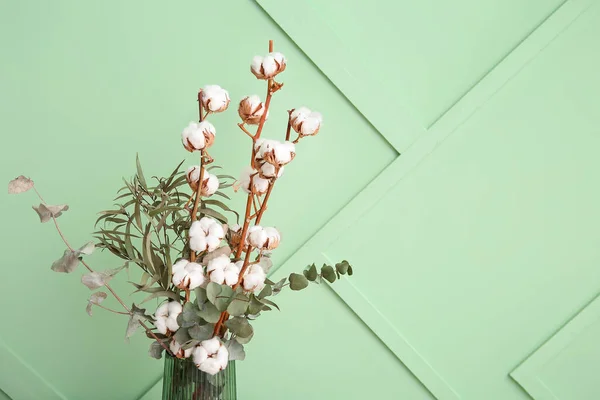 Vase Cotton Sprig Eucalyptus Green Wall — Stock Photo, Image