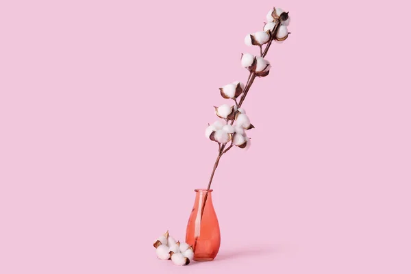 Cotton Sprig Glass Vase Pink Background — Stock Photo, Image