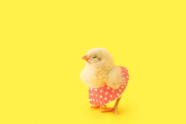 Roztomilé Malé Kuřátko Sukní Žlutém Pozadí — Stock fotografie