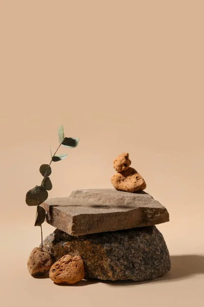 Podios Decorativos Piedra Con Eucalipto Sobre Fondo Beige —  Fotos de Stock