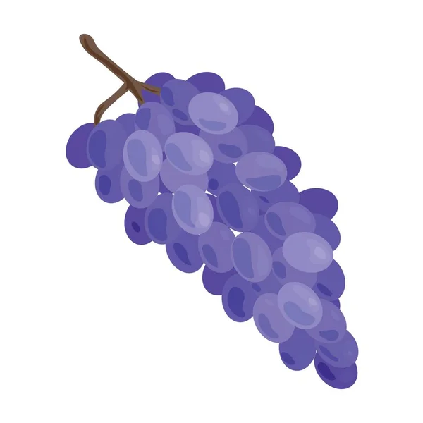 Синій Виноград Білому Фоні — стоковий вектор
