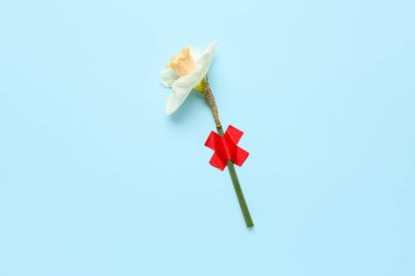 Mavi arka planda yapışkan bantlı Narcissus çiçeği