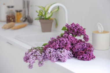 Mutfakta lavabonun yanında leylak çiçekleri, yakın plan.