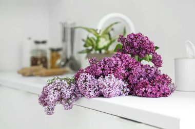 Mutfakta lavabonun yanında leylak çiçekleri, yakın plan.