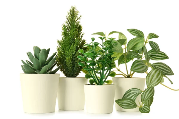 Künstliche Pflanzen Auf Weißem Hintergrund — Stockfoto