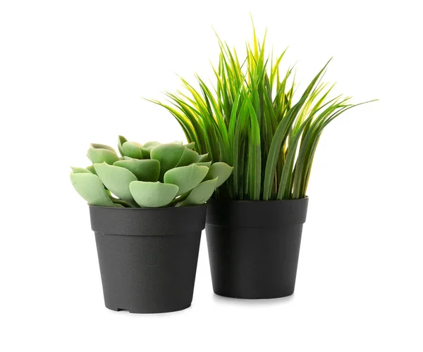 Artificial Plants White Background — Stock Photo, Image