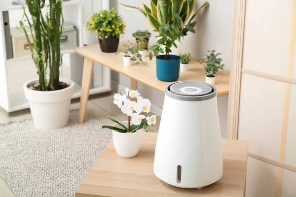 Modern Humidifier Flowers Pot Table Interior Living Room — Stock Photo, Image