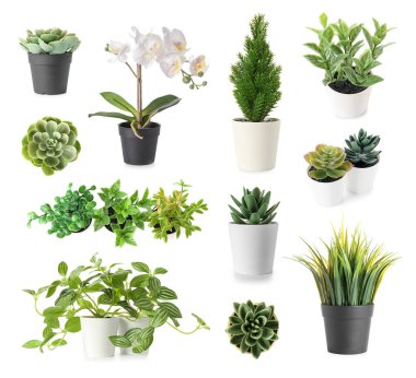 Beyaz arkaplanda farklı yapay bitkiler.