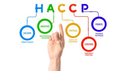 Beyaz arkaplan üzerinde HACCP (Tehlike, Analiz ve Kritik Kontrol Noktaları) bileşenleri ile diyagrama işaret kadın el