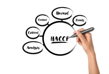 Beyaz arkaplan üzerinde HACCP (Tehlike, Analiz ve Kritik Kontrol Noktaları) bileşenleri ile işaretleyici diyagramı olan kadın eli