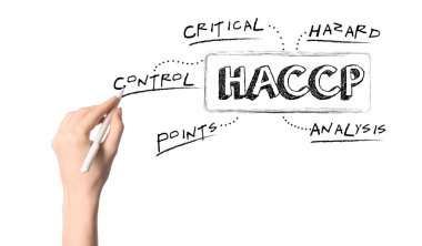 Beyaz arkaplan üzerinde HACCP bileşenleriyle (Tehlike, Analiz ve Kritik Kontrol Noktaları) kalem yazma diyagramına sahip kadın eli