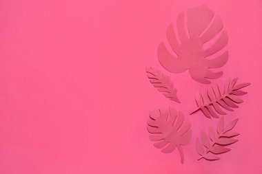 Pembe arka planda farklı tropikal yapraklar