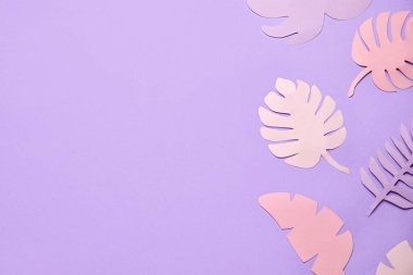 Leylak arka planında farklı tropikal yapraklar