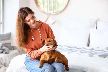 Yatak odasında köpeğinin dişlerini fırçalayan genç bir kadın.