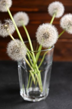 Koyu masa üzerinde beyaz karahindiba çiçekli cam, ahşap arka plan, yakın plan