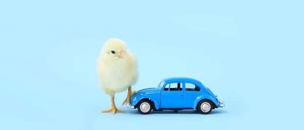Cute Little Chick Toy Car Light Blue Background — Stock Photo, Image