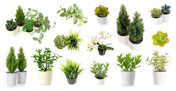 Uppsättning Många Konstgjorda Växter Vit Bakgrund — Stockfoto