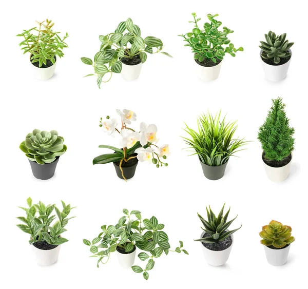 Set Many Different Artificial Plants White Background — Stock Photo, Image