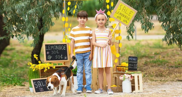 Cute Little Children Dog Lemonade Stand Park — Stock Photo, Image