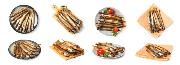 Collage Delizioso Pesce Capelin Affumicato Sfondo Bianco — Foto Stock