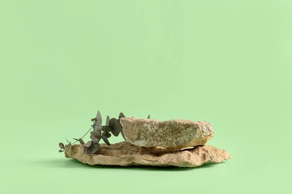 Декоративные Каменные Подиумы Эвкалиптовым Покрытием Зеленом Фоне — стоковое фото