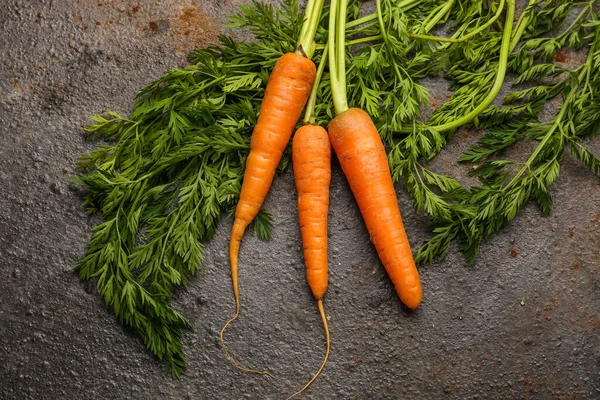 Fresh Carrots Dark Background — Stock Photo, Image