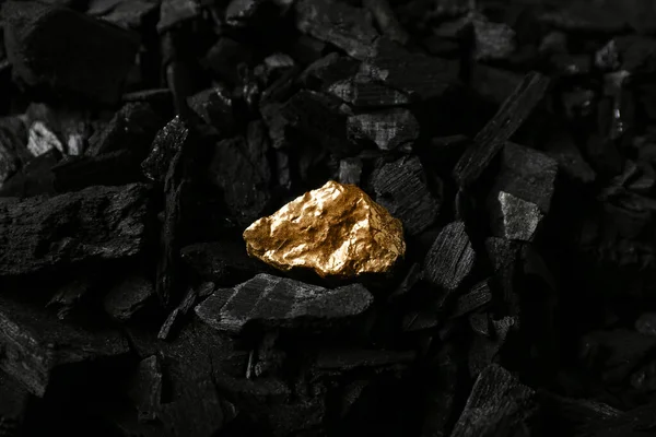 Golden nugget on black charcoal