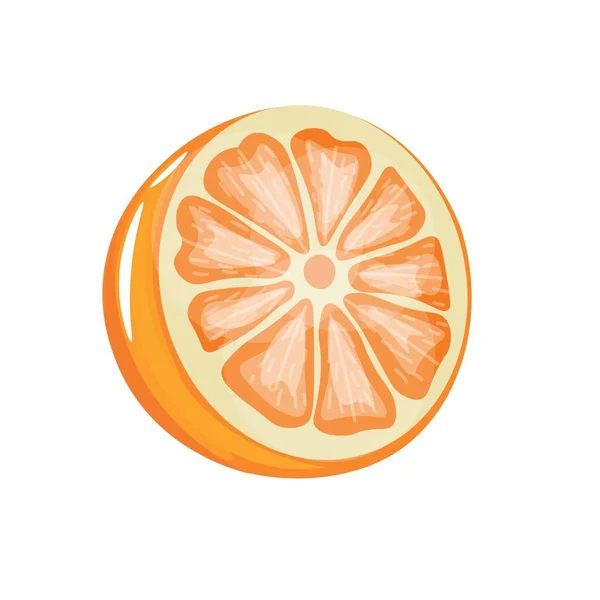 Schnitt Orange Auf Weißem Hintergrund — Stockvektor
