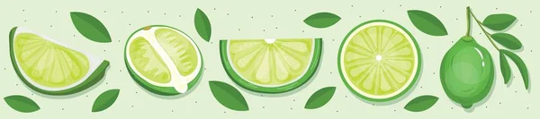 Lime Készlet Világoszöld Háttérrel — Stock Vector