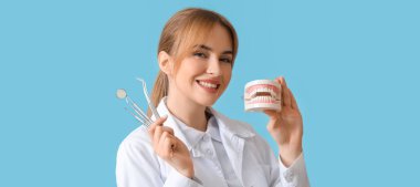 Plastik çene modeline ve açık mavi arkaplanda araçlara sahip kadın dişçi