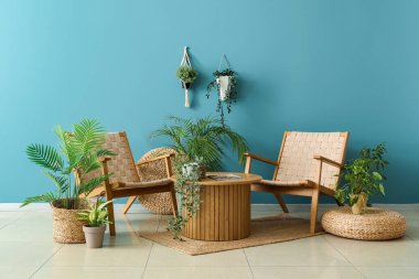 Sıcak hasır koltuklar, kahve masası ve mavi duvarın yanındaki bitkiler.