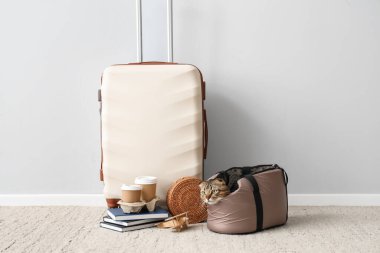 Taşıyıcıda İskoç kedisi ve ışık duvarı yakınında seyahat eden aksesuarlar.