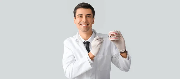 Odontólogo Masculino Con Modelo Mandíbula Plástico Sobre Fondo Claro — Foto de Stock