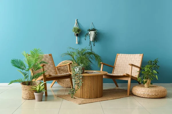 Gemütliche Korbsessel Couchtisch Und Zimmerpflanzen Neben Blauer Wand — Stockfoto