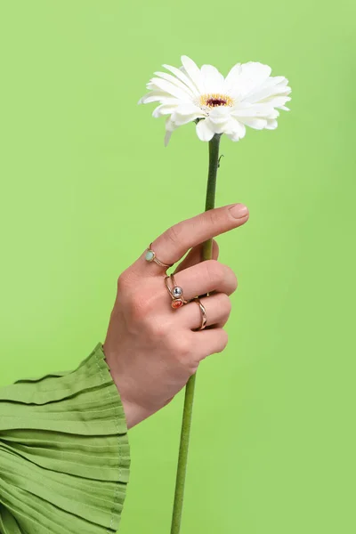 Χέρι Νεαρής Γυναίκας Που Φοράει Κομψά Δαχτυλίδια Χρυσάνθεμο Κοντά Πράσινο — Φωτογραφία Αρχείου