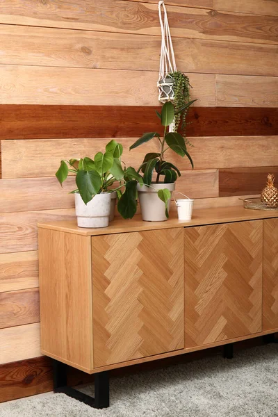 Chest Drawers Houseplants Wooden Wall Room — Stock Photo, Image