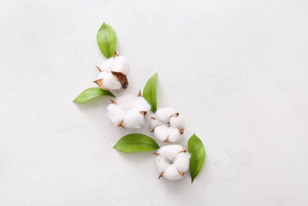 Beyaz Grunge Arka Planında Pamuk Bitki Yaprakları — Stok fotoğraf