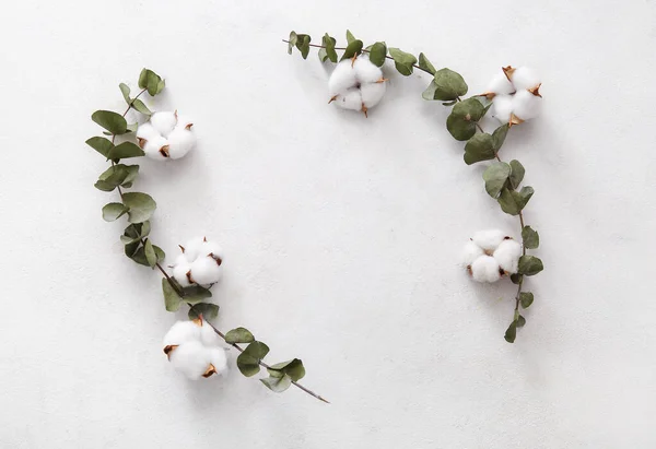 Beyaz Arkaplanda Pamuk Çiçekleri Okaliptüsten Yapılmış Çerçeve — Stok fotoğraf