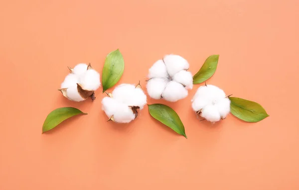 Cotton Flowers Plant Leaves Orange Background — Stock Photo, Image